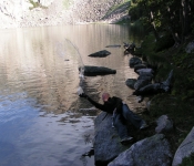 Montana 09 201